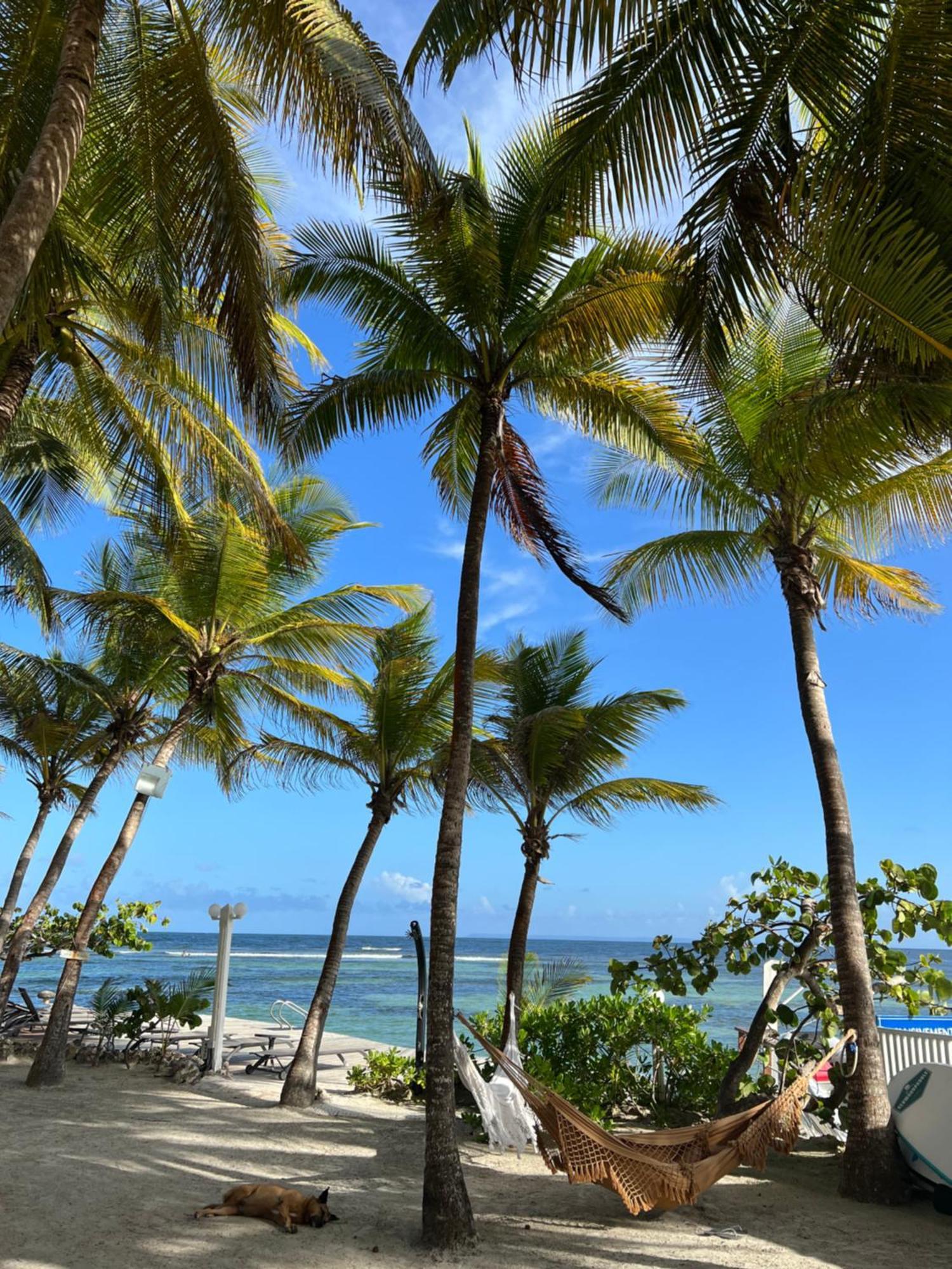 Guadeloupe- Saint-Francois- Residence Anse Des Rochers - Appartement Quart De Villa Etage - Vue Mer- 4 Personnes - Lit Bebe Sur Demande - Citerne Et Wifi Prives -Animaux Ok-Acces Plage Direct -Apnee Bien-Etre Experience Sur Demande Avec Instructeur A エクステリア 写真